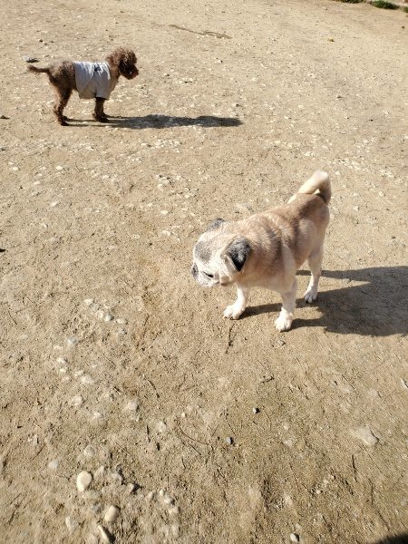 f:id:roukenhome-ann:20200323153921j:plain