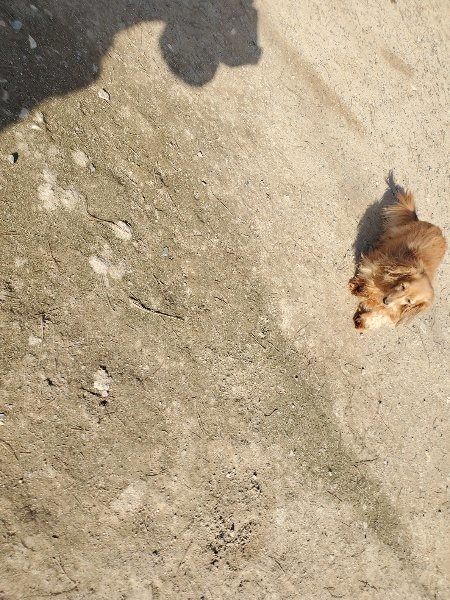 f:id:roukenhome-ann:20200323153925j:plain