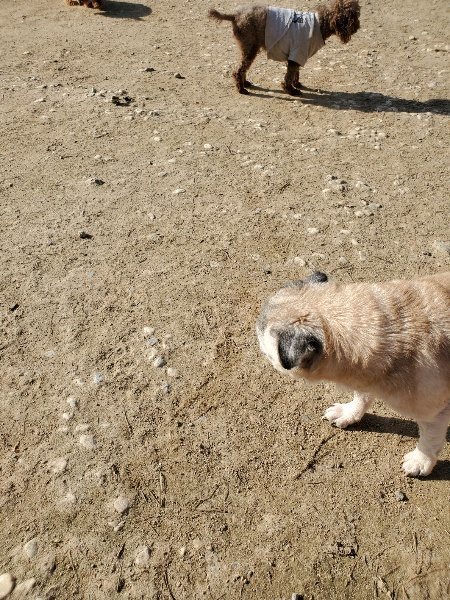 f:id:roukenhome-ann:20200323153932j:plain