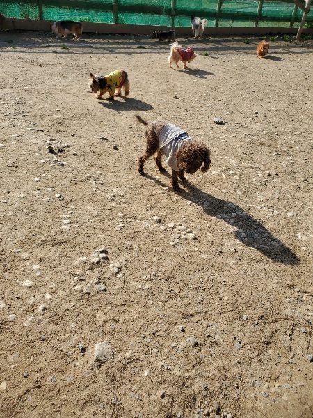 f:id:roukenhome-ann:20200323153936j:plain