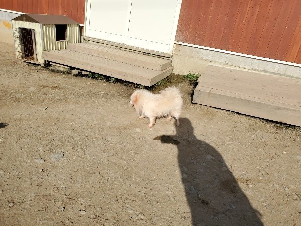 f:id:roukenhome-ann:20200323153941j:plain