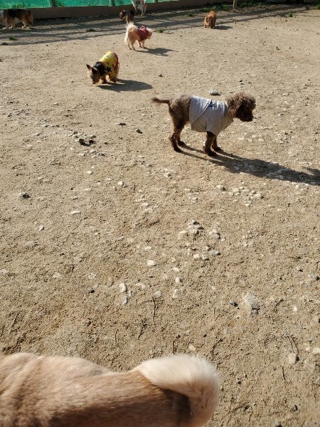 f:id:roukenhome-ann:20200323153946j:plain