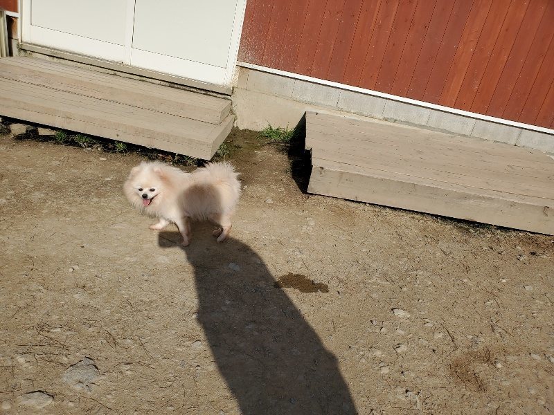 f:id:roukenhome-ann:20200323153952j:plain