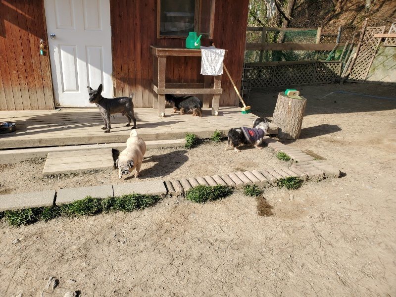 f:id:roukenhome-ann:20200323153957j:plain