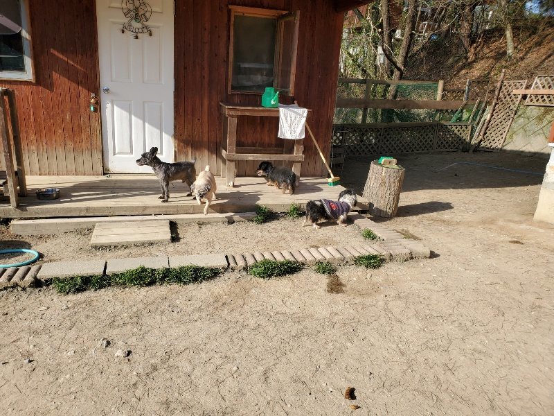 f:id:roukenhome-ann:20200323154002j:plain