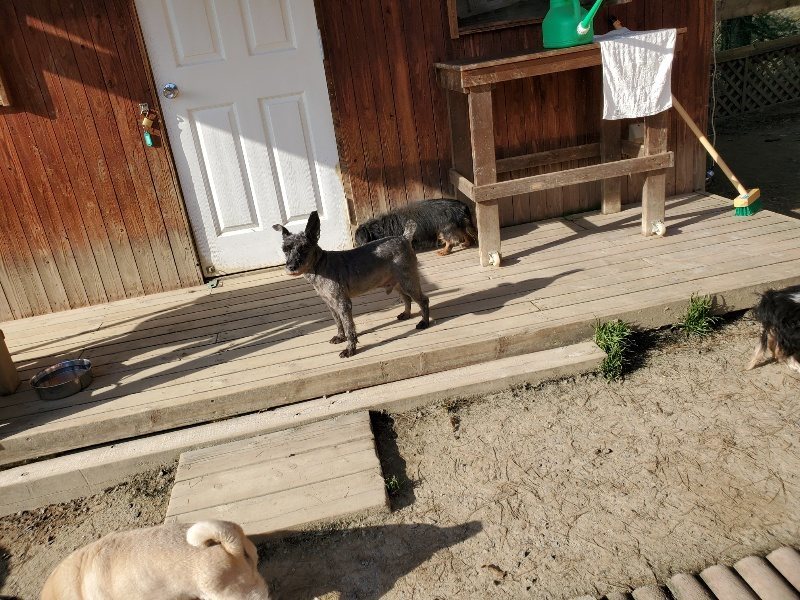 f:id:roukenhome-ann:20200323154009j:plain