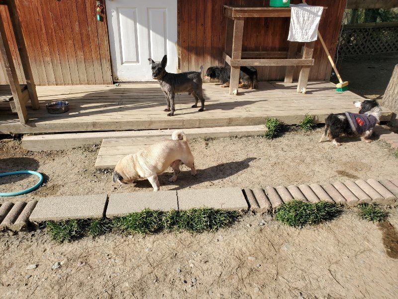 f:id:roukenhome-ann:20200323154015j:plain