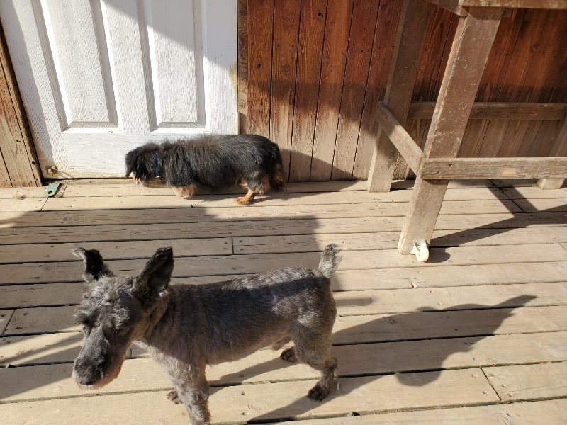 f:id:roukenhome-ann:20200323154028j:plain