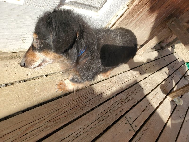 f:id:roukenhome-ann:20200323154034j:plain