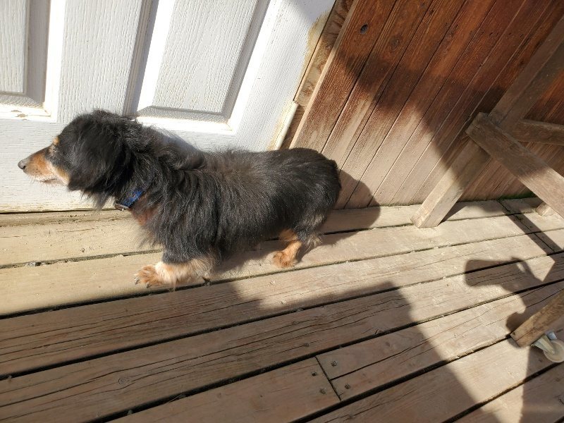 f:id:roukenhome-ann:20200323154039j:plain