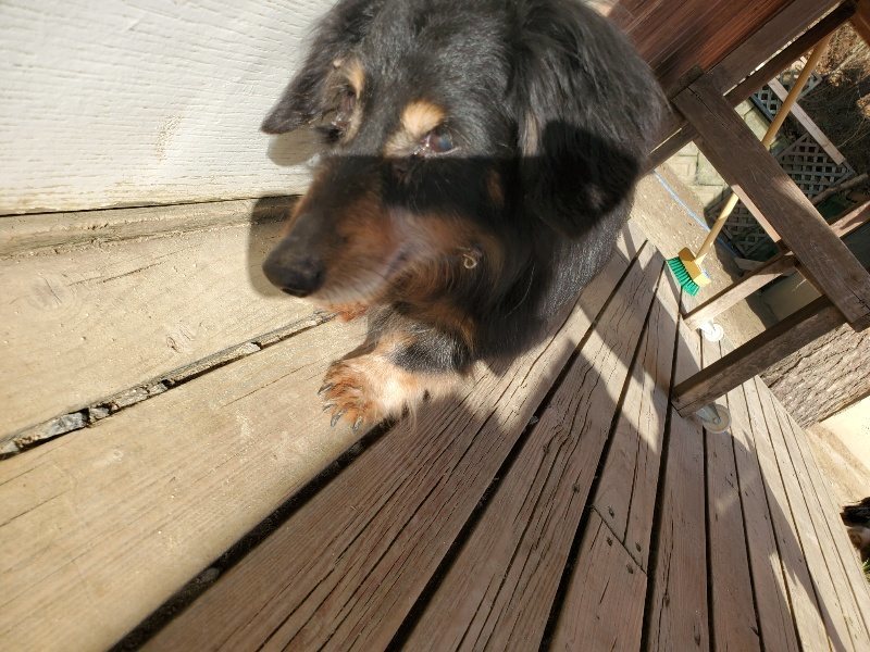 f:id:roukenhome-ann:20200323154044j:plain