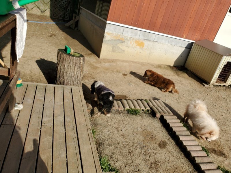 f:id:roukenhome-ann:20200323154056j:plain