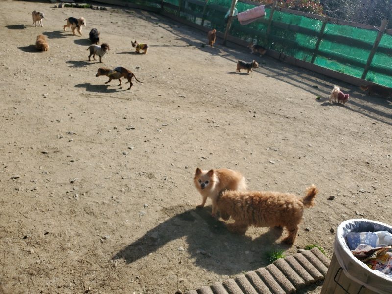 f:id:roukenhome-ann:20200323154109j:plain