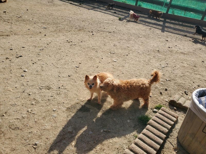 f:id:roukenhome-ann:20200323154115j:plain