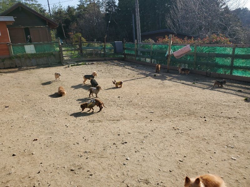 f:id:roukenhome-ann:20200323154121j:plain