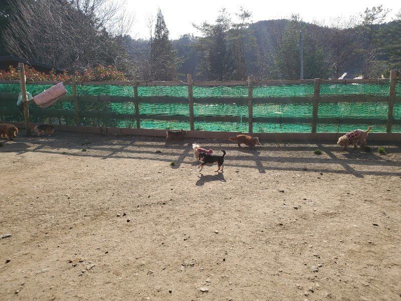 f:id:roukenhome-ann:20200323154128j:plain