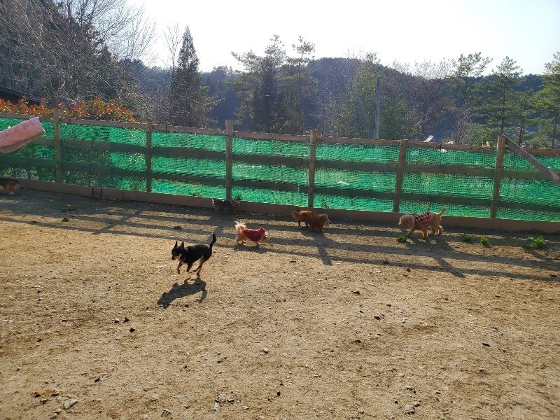 f:id:roukenhome-ann:20200323154133j:plain