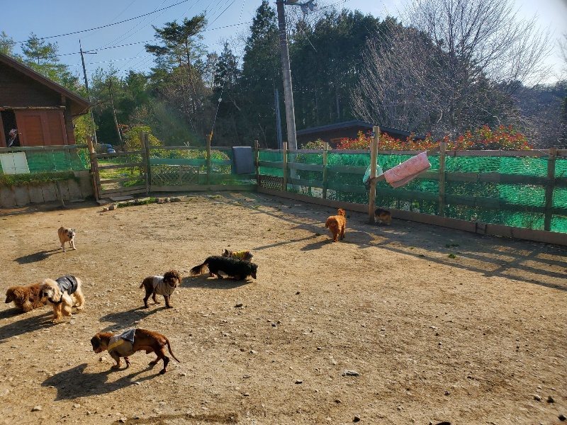 f:id:roukenhome-ann:20200323154139j:plain