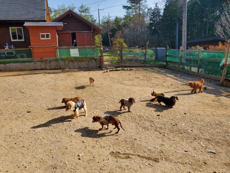 f:id:roukenhome-ann:20200323154151j:plain