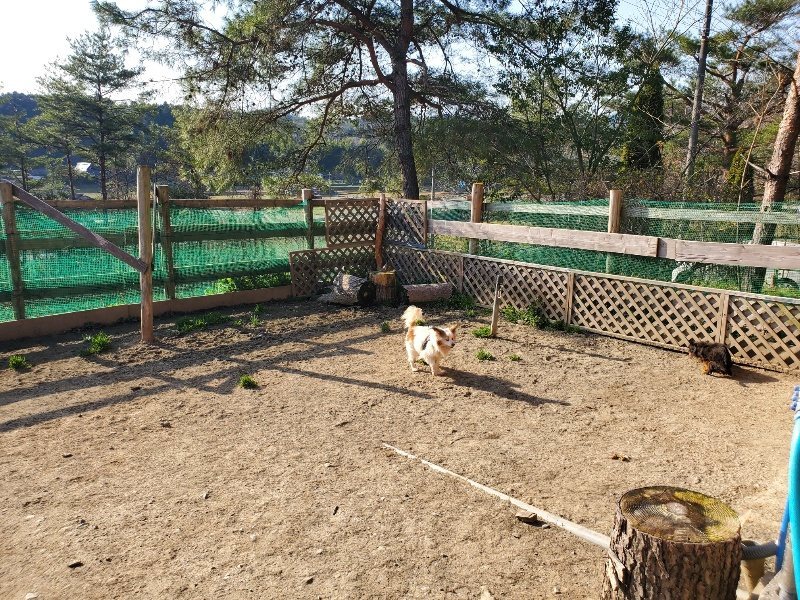 f:id:roukenhome-ann:20200323154157j:plain