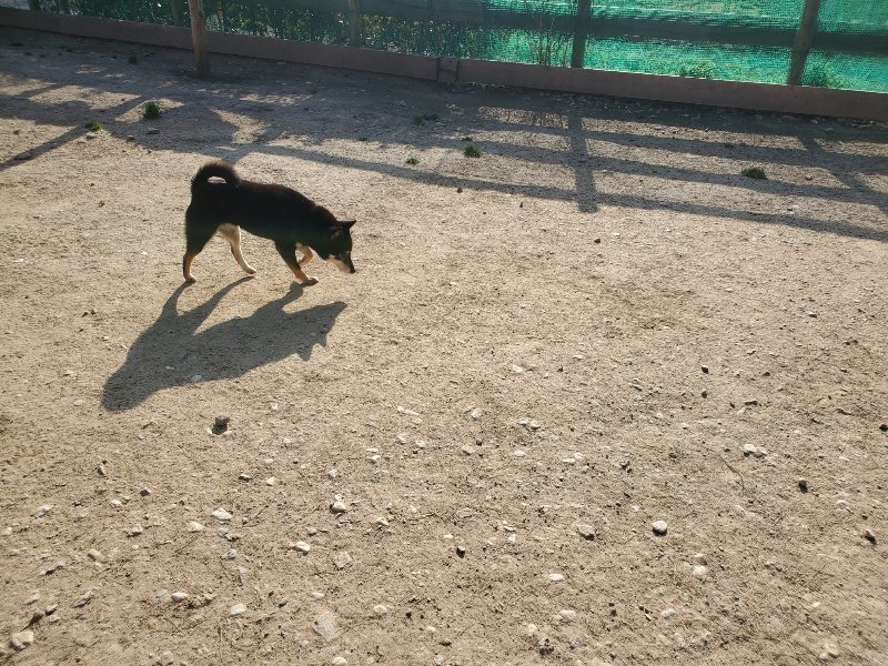 f:id:roukenhome-ann:20200323154209j:plain