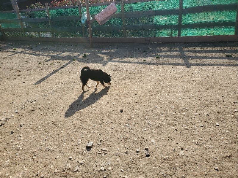 f:id:roukenhome-ann:20200323154214j:plain