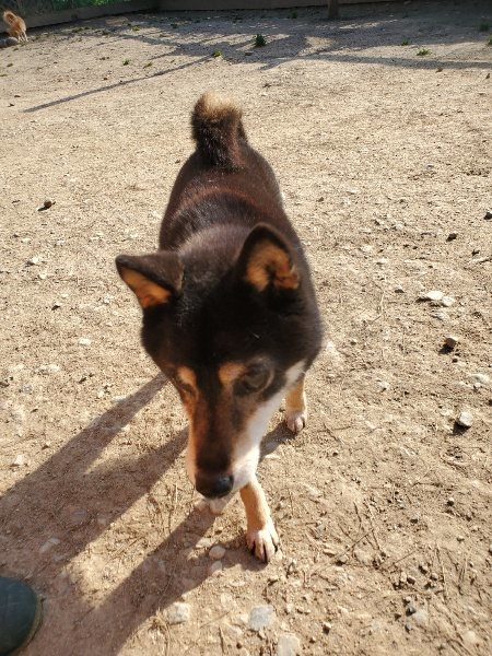 f:id:roukenhome-ann:20200323154219j:plain