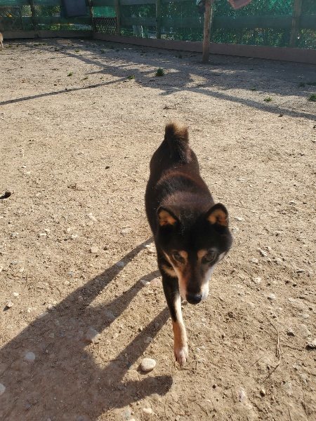 f:id:roukenhome-ann:20200323154223j:plain