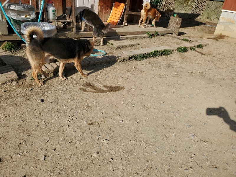 f:id:roukenhome-ann:20200323154233j:plain