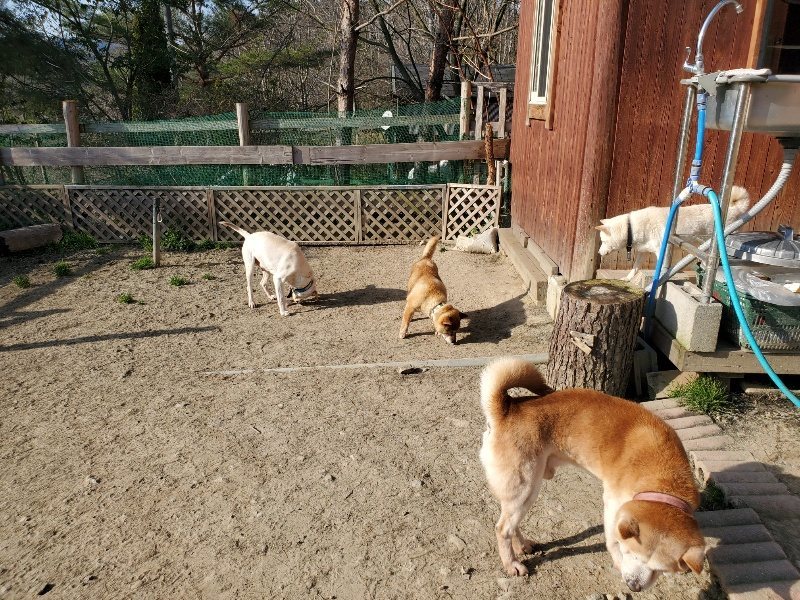 f:id:roukenhome-ann:20200323154243j:plain