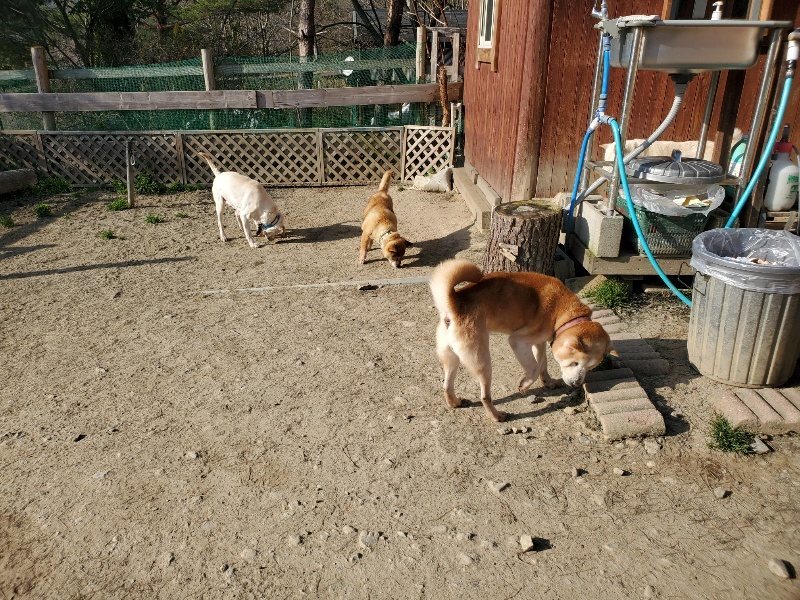 f:id:roukenhome-ann:20200323154248j:plain