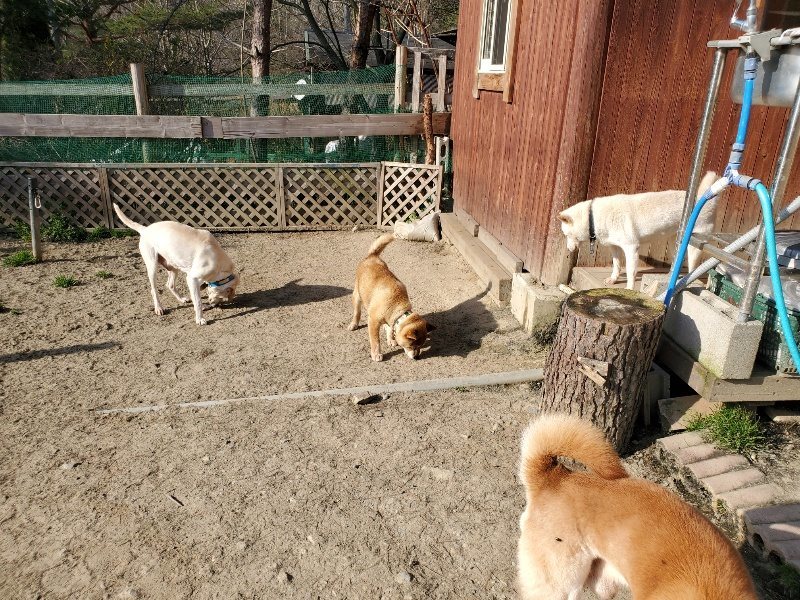 f:id:roukenhome-ann:20200323154254j:plain