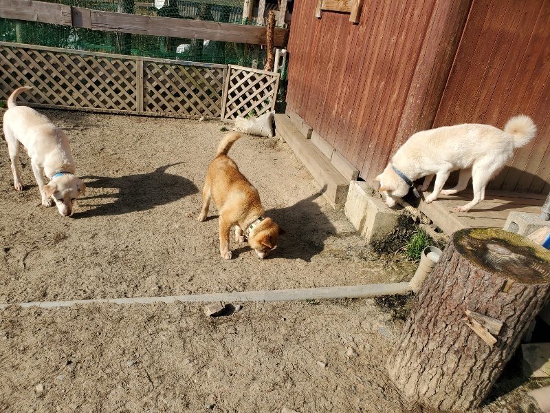 f:id:roukenhome-ann:20200323154259j:plain