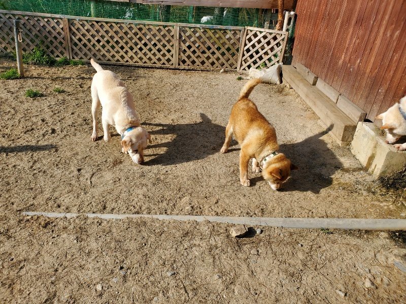 f:id:roukenhome-ann:20200323154305j:plain