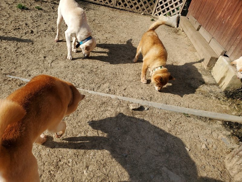 f:id:roukenhome-ann:20200323154310j:plain