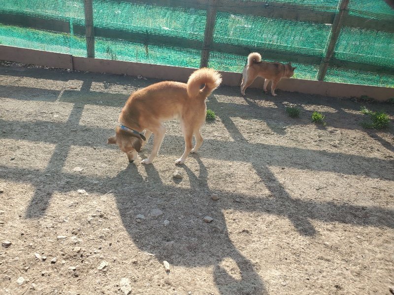 f:id:roukenhome-ann:20200323154316j:plain