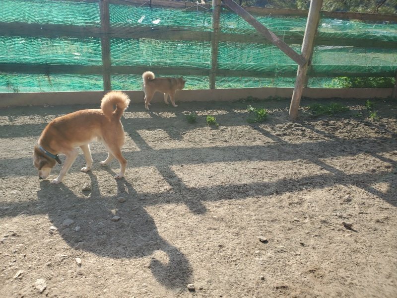 f:id:roukenhome-ann:20200323154322j:plain