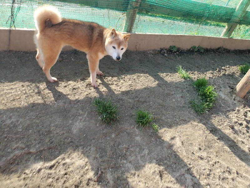 f:id:roukenhome-ann:20200323154327j:plain