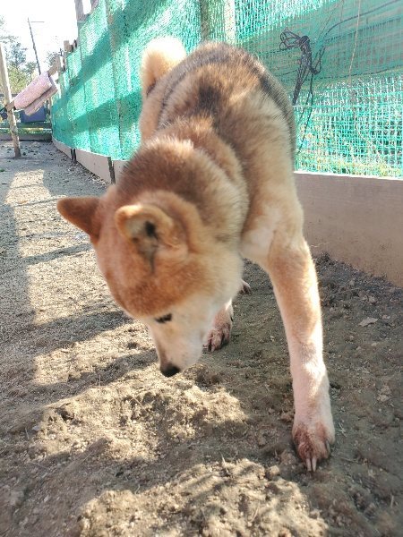 f:id:roukenhome-ann:20200323154331j:plain