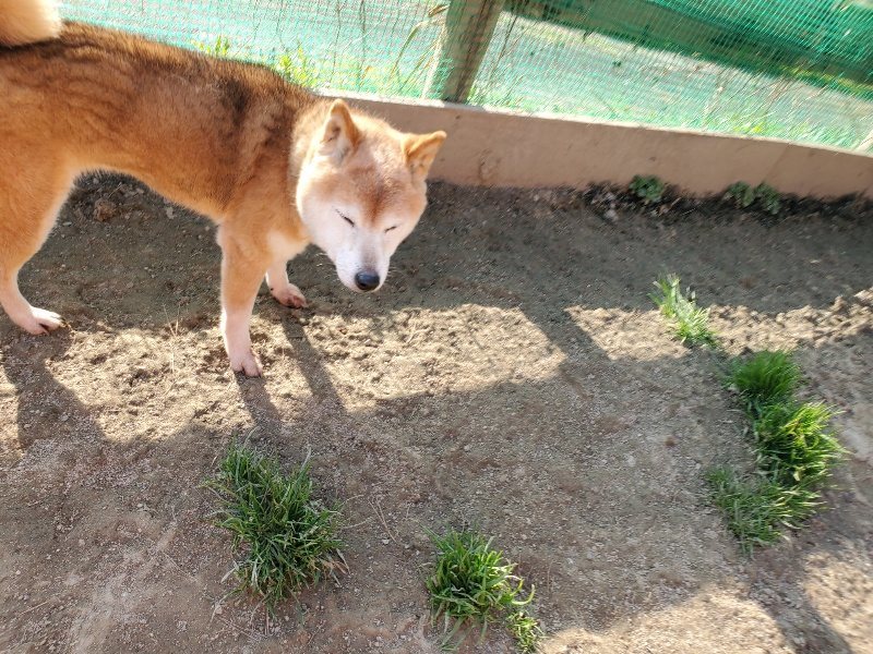 f:id:roukenhome-ann:20200323154336j:plain