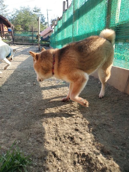 f:id:roukenhome-ann:20200323154340j:plain