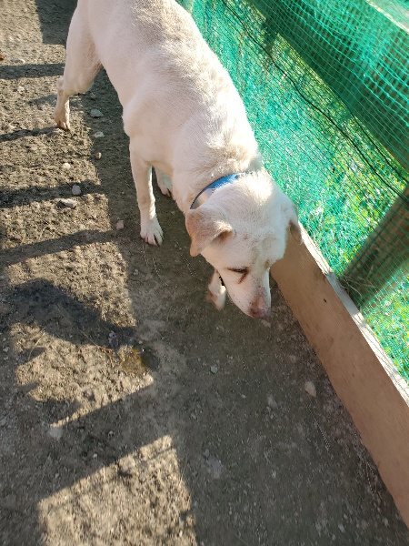 f:id:roukenhome-ann:20200323154344j:plain