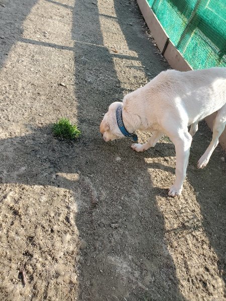 f:id:roukenhome-ann:20200323154348j:plain