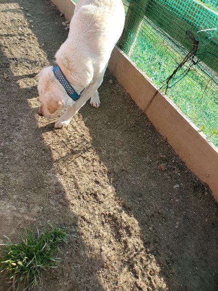 f:id:roukenhome-ann:20200323154357j:plain