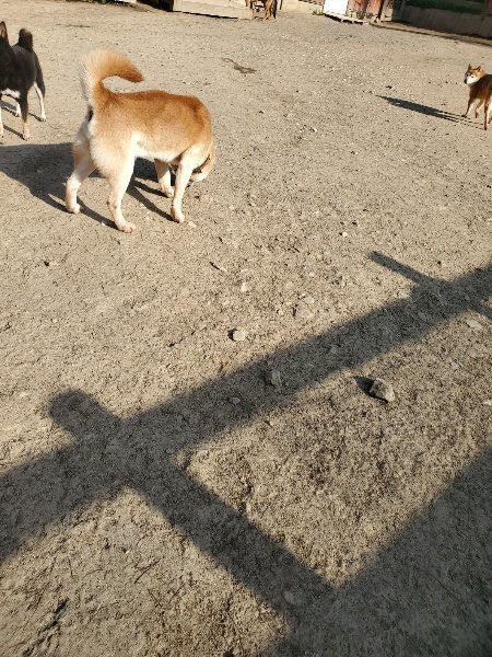 f:id:roukenhome-ann:20200323154401j:plain