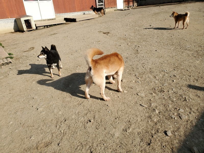 f:id:roukenhome-ann:20200323154406j:plain