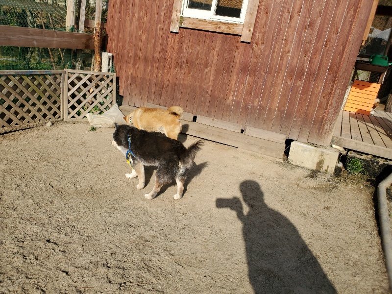 f:id:roukenhome-ann:20200323154411j:plain