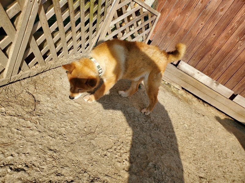 f:id:roukenhome-ann:20200323154424j:plain