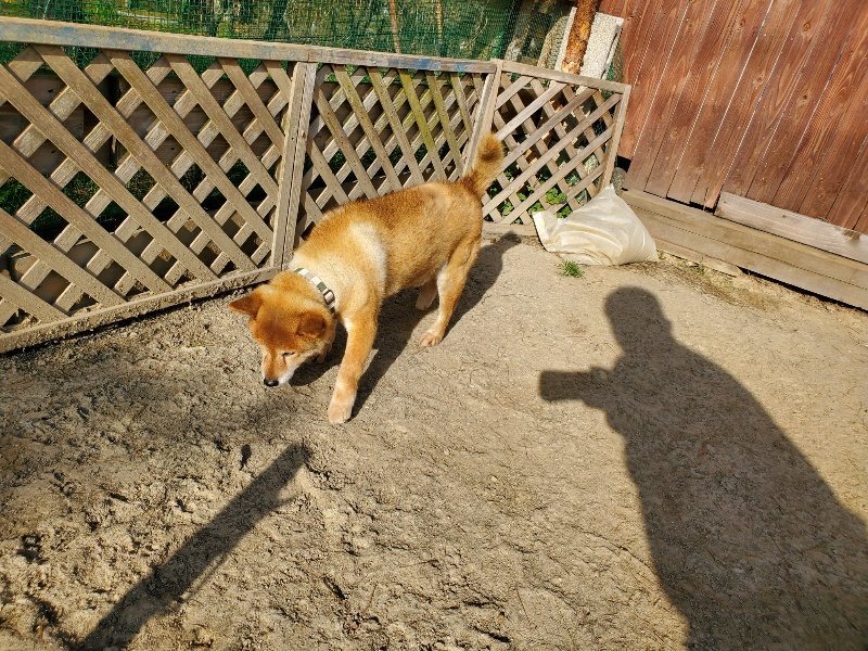 f:id:roukenhome-ann:20200323154429j:plain