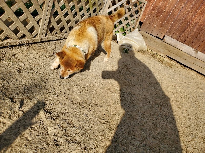 f:id:roukenhome-ann:20200323154434j:plain